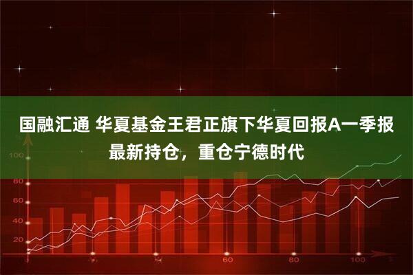 国融汇通 华夏基金王君正旗下华夏回报A一季报最新持仓，重仓宁德时代