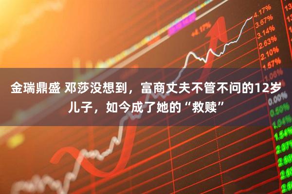 金瑞鼎盛 邓莎没想到，富商丈夫不管不问的12岁儿子，如今成了她的“救赎”