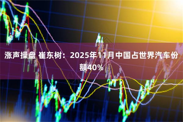 涨声操盘 崔东树：2025年11月中国占世界汽车份额40%