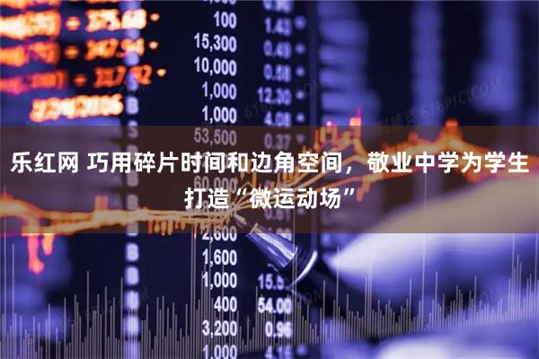 乐红网 巧用碎片时间和边角空间，敬业中学为学生打造“微运动场”